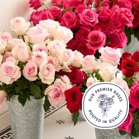 Header navigation sub menu